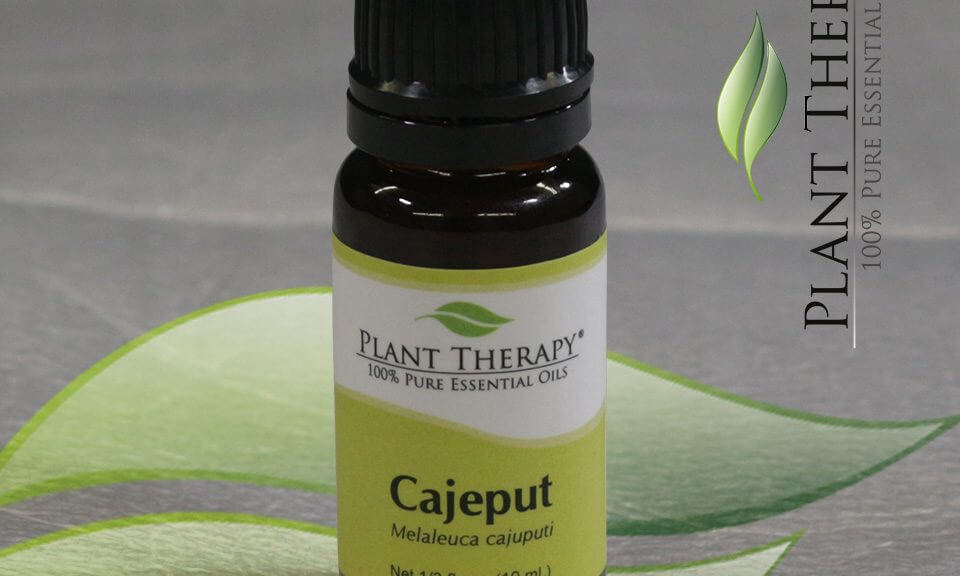 Essential Oil Education - Cajeput