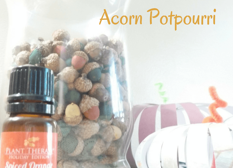 Passive Diffusion Fall Craft-Acorn Potpourri