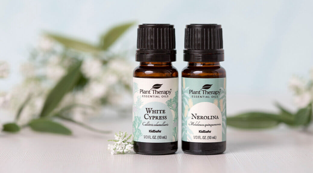 All About White Cypress & Nerolina