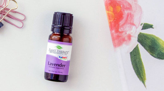 10 Ways to Use Lavender Essential Oil