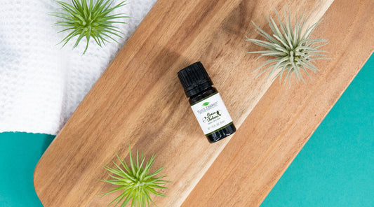 September Oil of the Month Reveal: Lemon Verbena