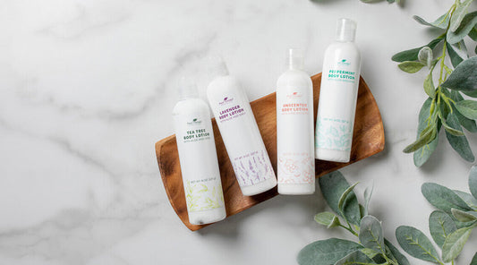 New Body Lotions with Aloe & Shea: Meet the New Formula