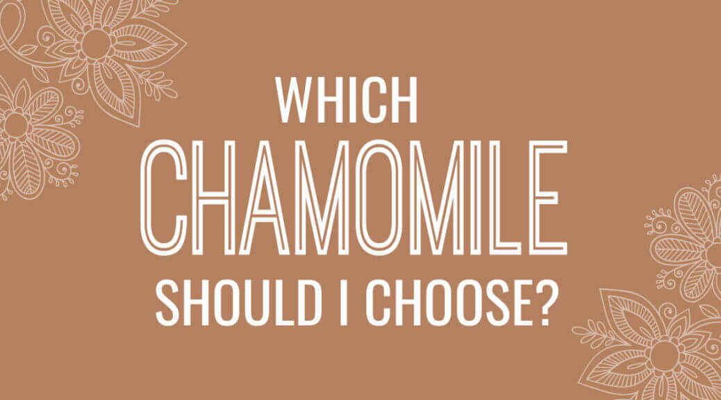 Chamomile German Vs. Chamomile Roman Essential Oil