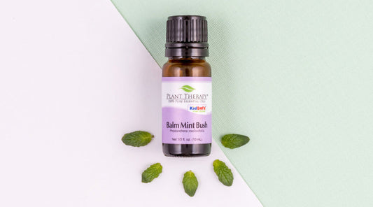 4 Ways to Use Balm Mint Bush