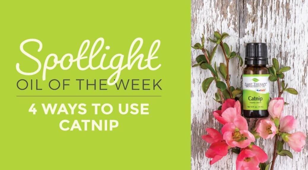 4 Ways to Use Catnip Essential Oil