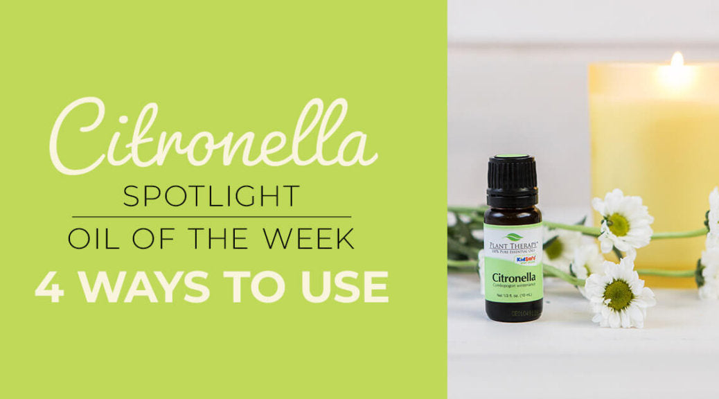 Top 4 Ways to Use Citronella Essential Oil