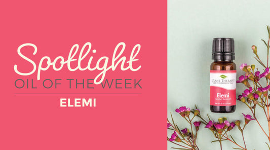 Elemi: Essential Oil Spotlight of the Week