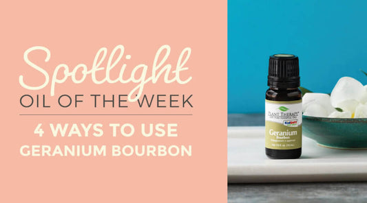 4 Ways to Use Geranium Bourbon Essential Oil