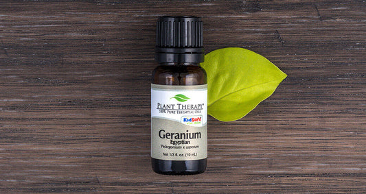 4 Ways to Use Geranium Egyptian