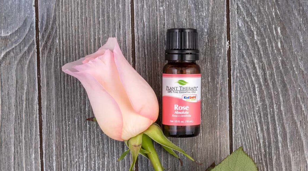 Rose Absolute Essential Oil Spotlight of the Week