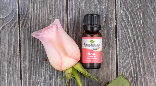 Rose Absolute Essential Oil Spotlight of the Week