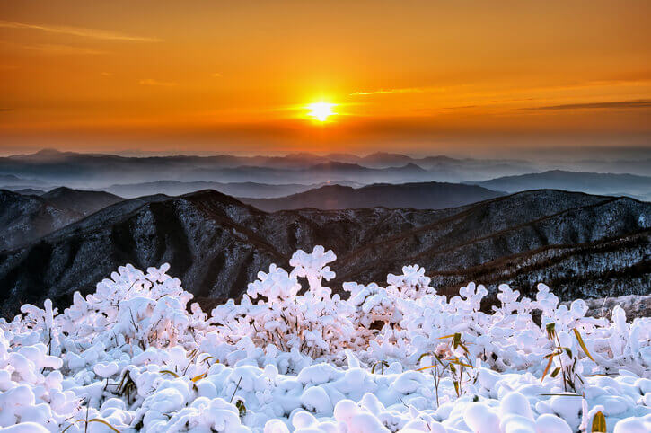 Winter Solstice for the Spirit