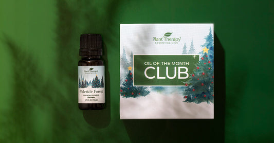 Fresh & Inviting: Yuletide Forest Essential Oil Blend