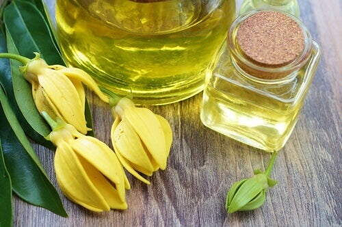 Our Favorite Ways to Use Ylang Ylang