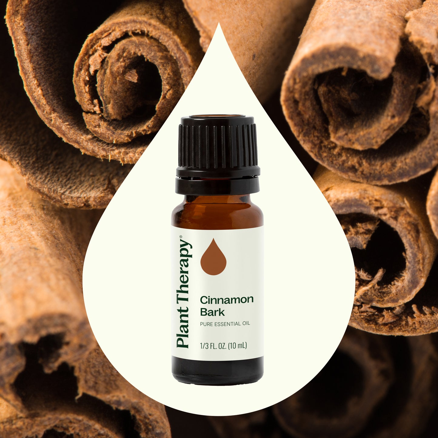 Cinnamon Bark Essential Oil