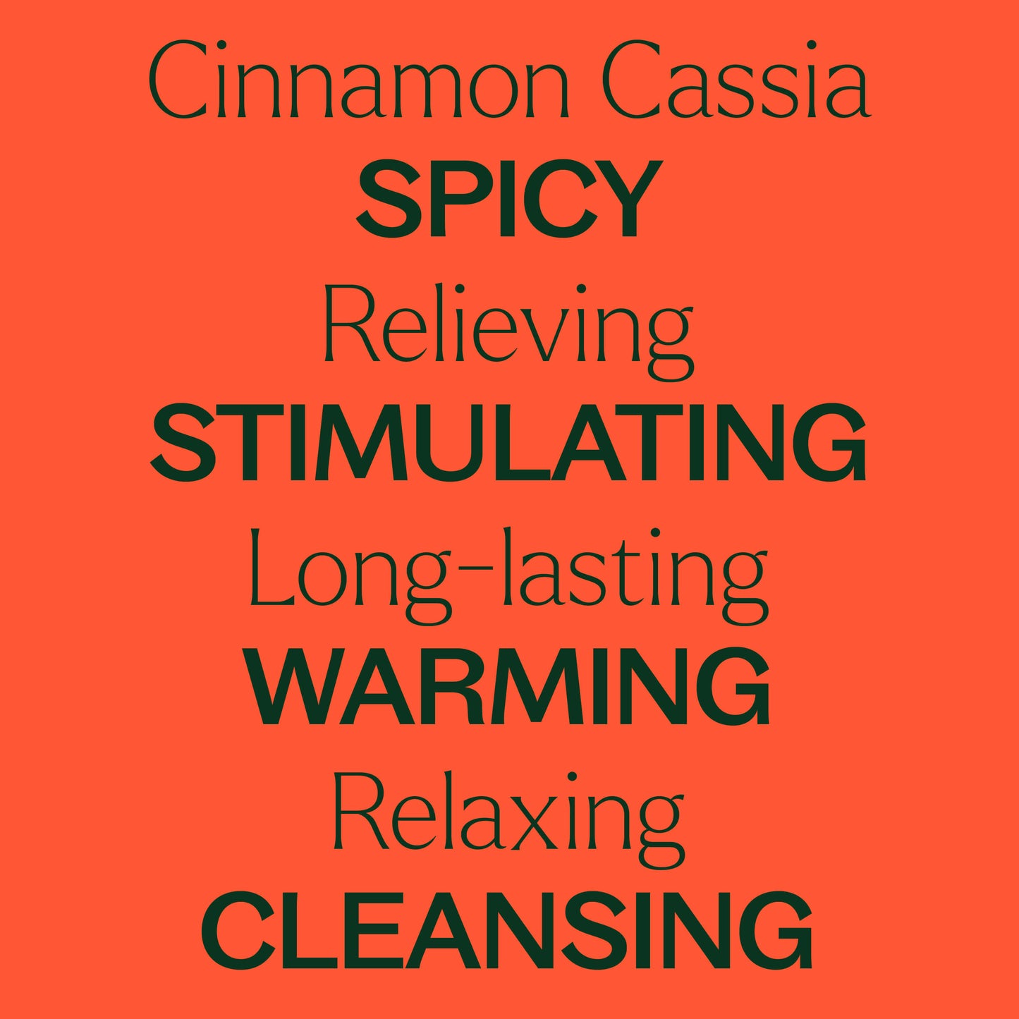 Cinnamon Cassia Essential Oil