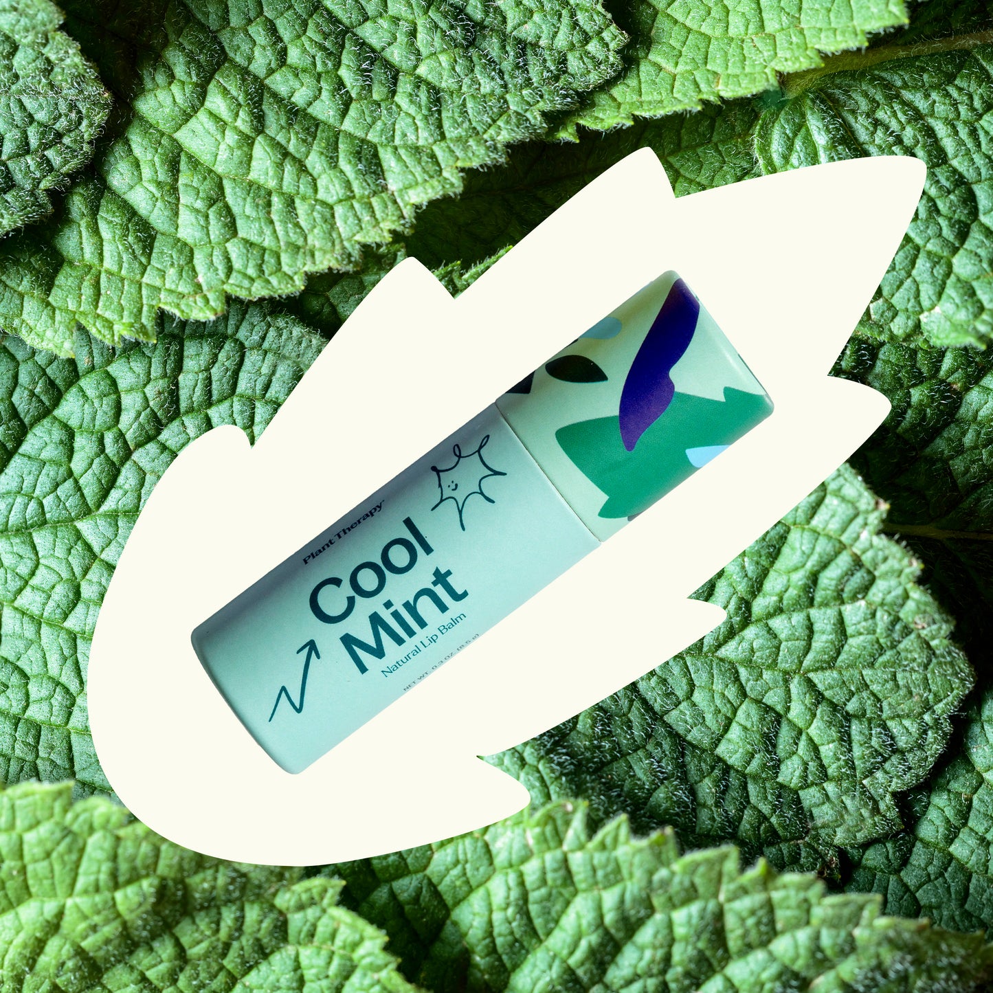 Cool Mint Natural Lip Balm minty