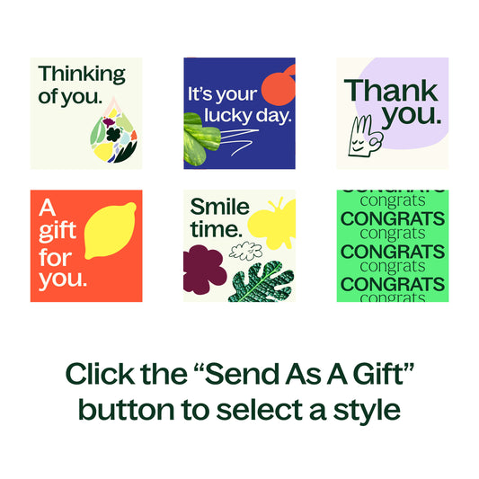 Digital Gift Card