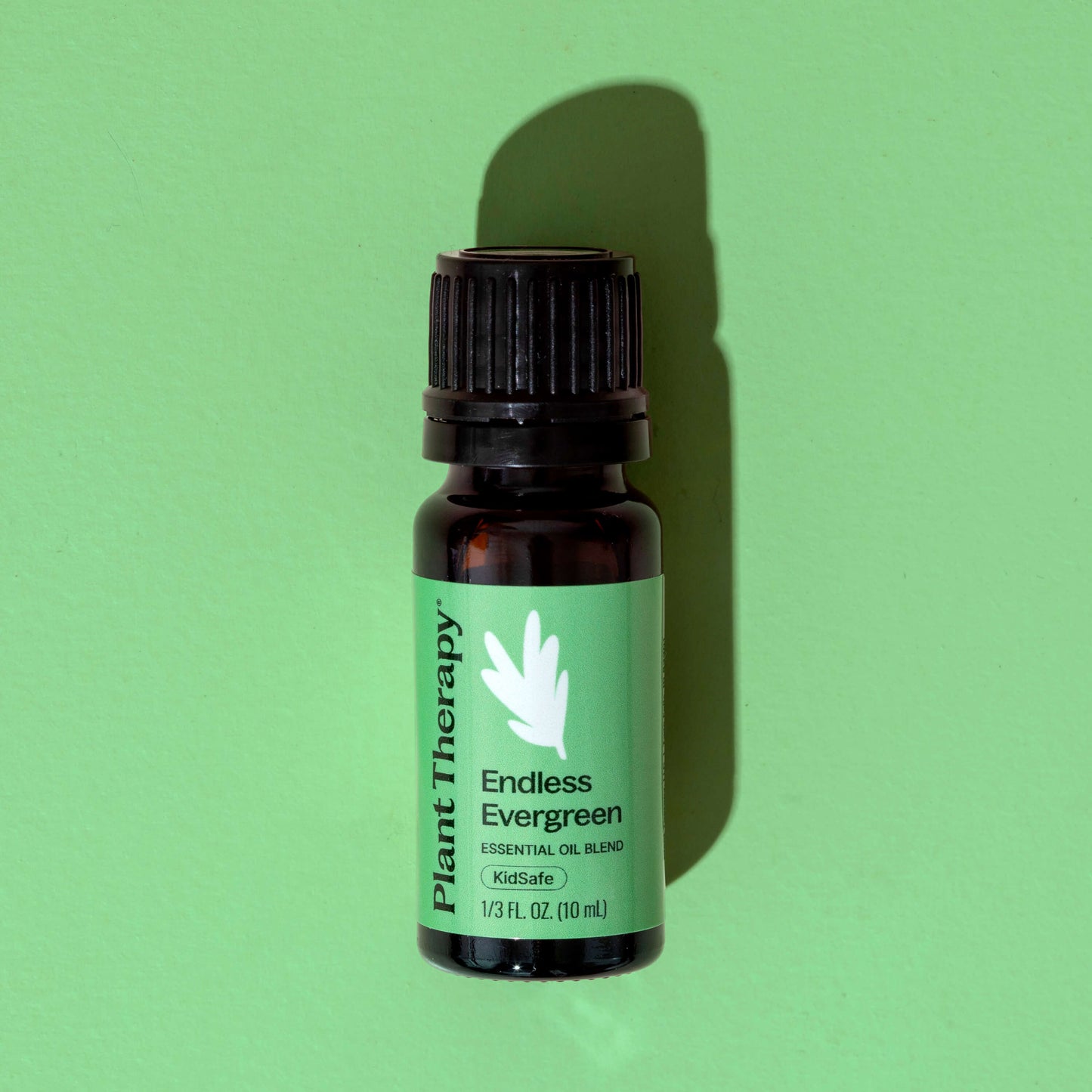 Endless Evergreen Essential Oil Blend