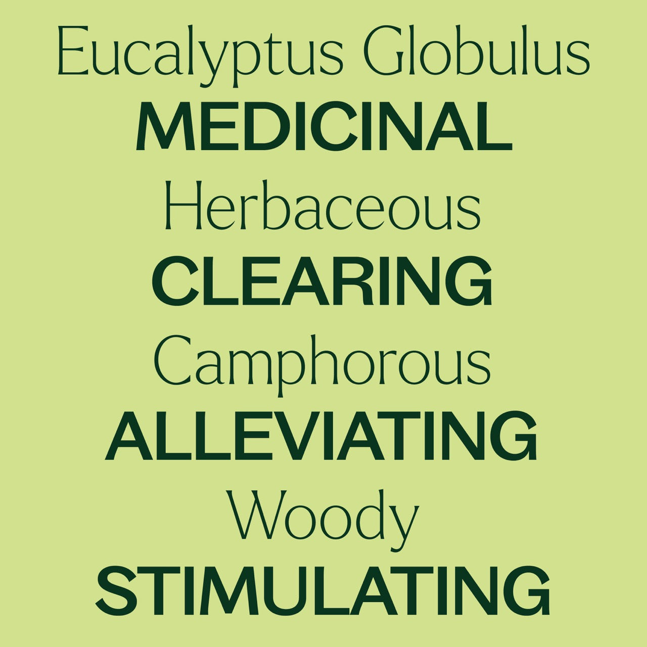 Eucalyptus Globulus Essential Oil key features: medicinal, herbaceous, clearing, camphorous, alleviating, woody, and stimulating