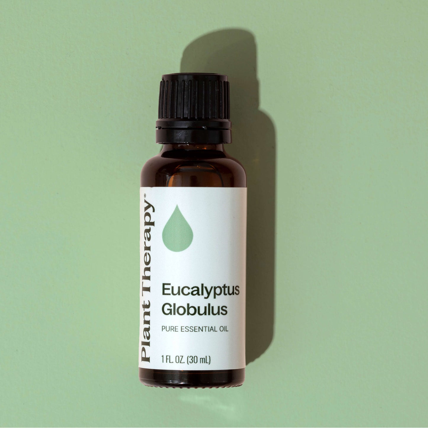 Eucalyptus Globulus Essential Oil