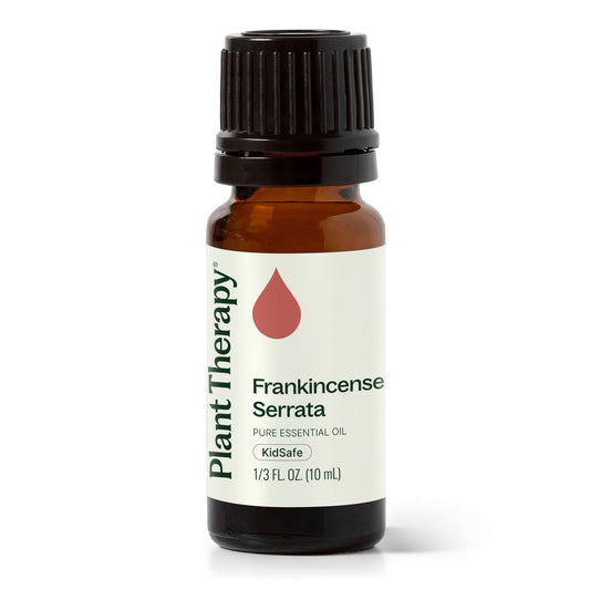 Frankincense Serrata Essential Oil