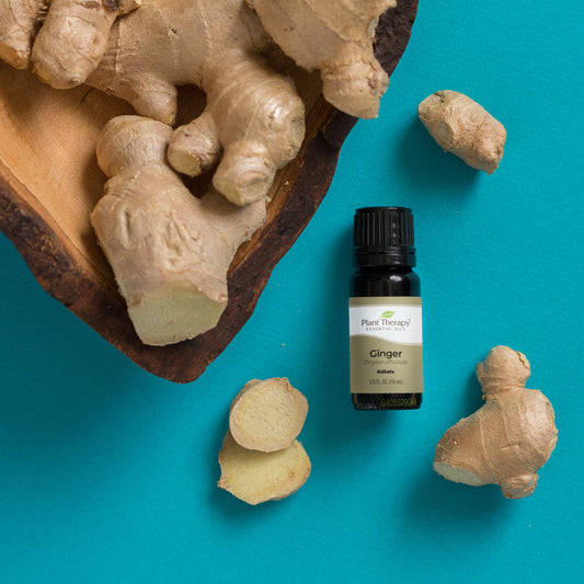 Ginger Essential Oil