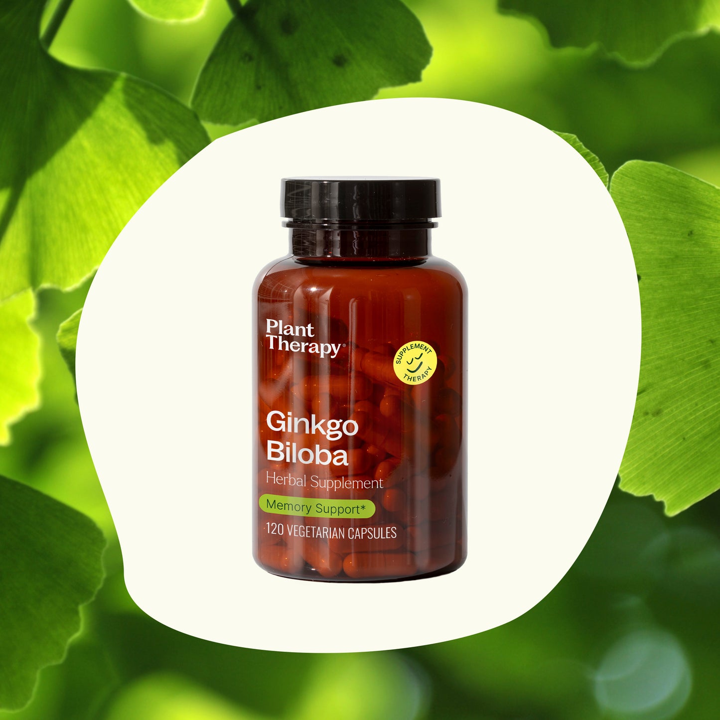 Gingko Biloba Herbal SupplementGinkgo Biloba Herbal Supplement Capsules