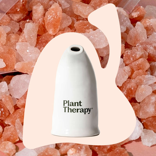 Himalayan Salt Inhaler