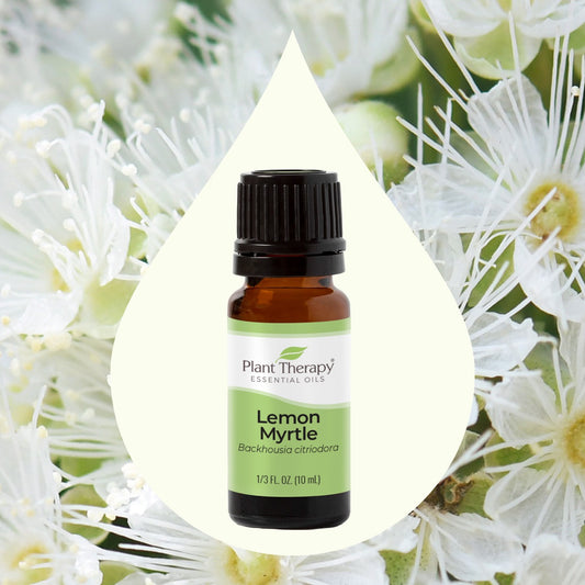 Lemon Myrtle Essential Oil key ingredient image