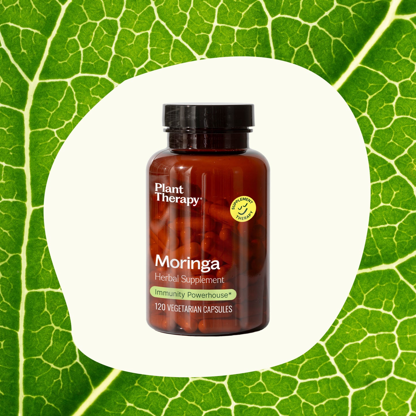 Moringa Herbal Supplement Capsules ingredient