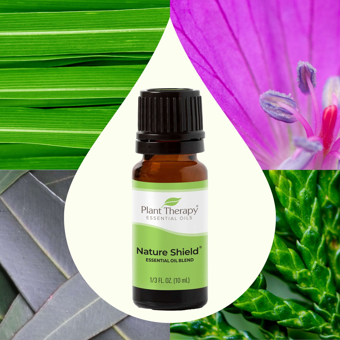 Nature Shield Essential Oil Blend