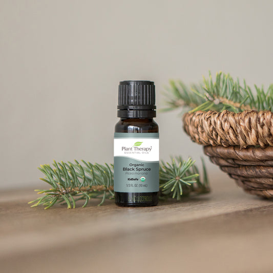 Organic Black Spruce Essential Oil