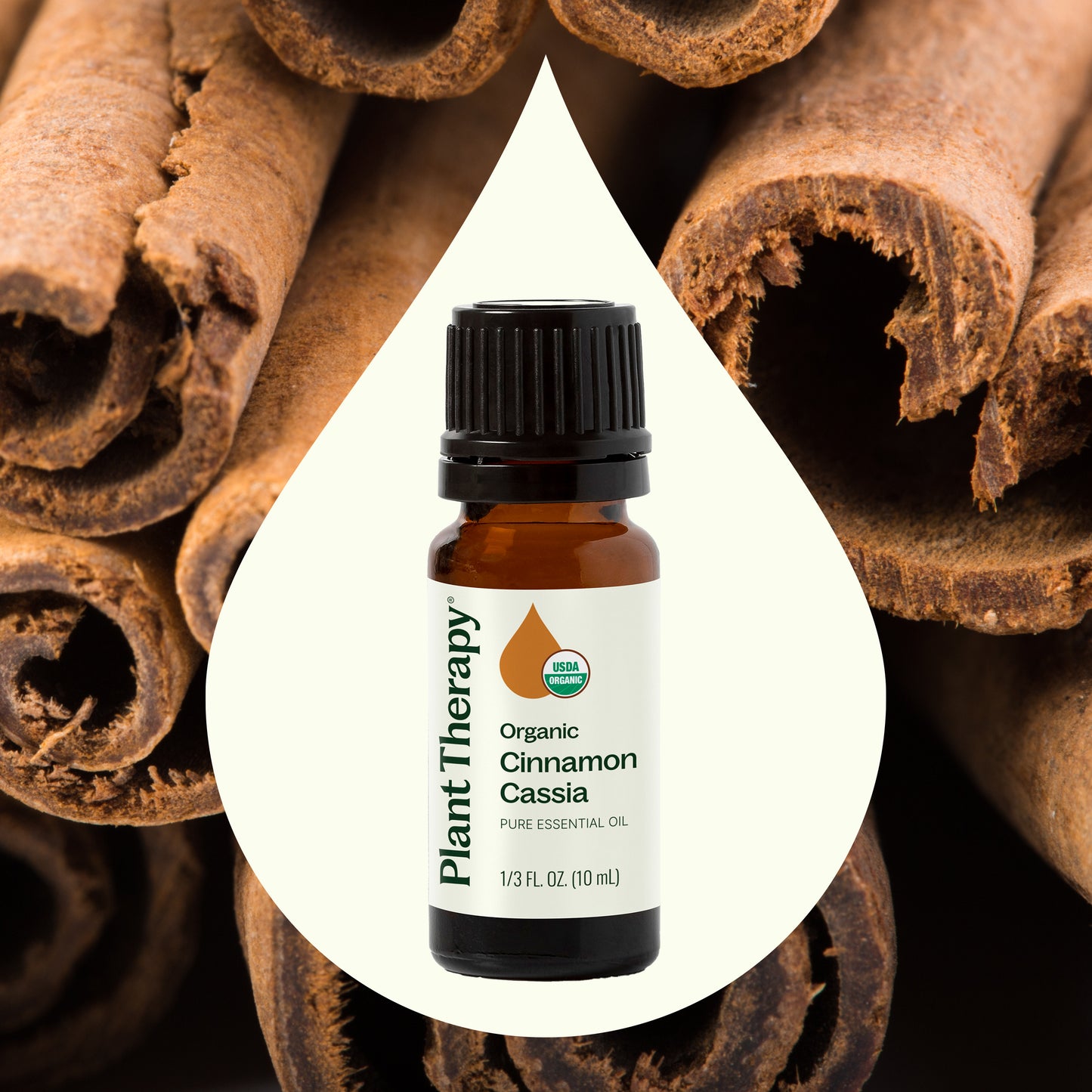 Organic Cinnamon Cassia Essential Oil