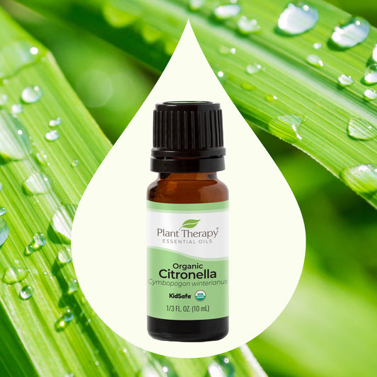 Organic Citronella Essential Oil key ingredient image