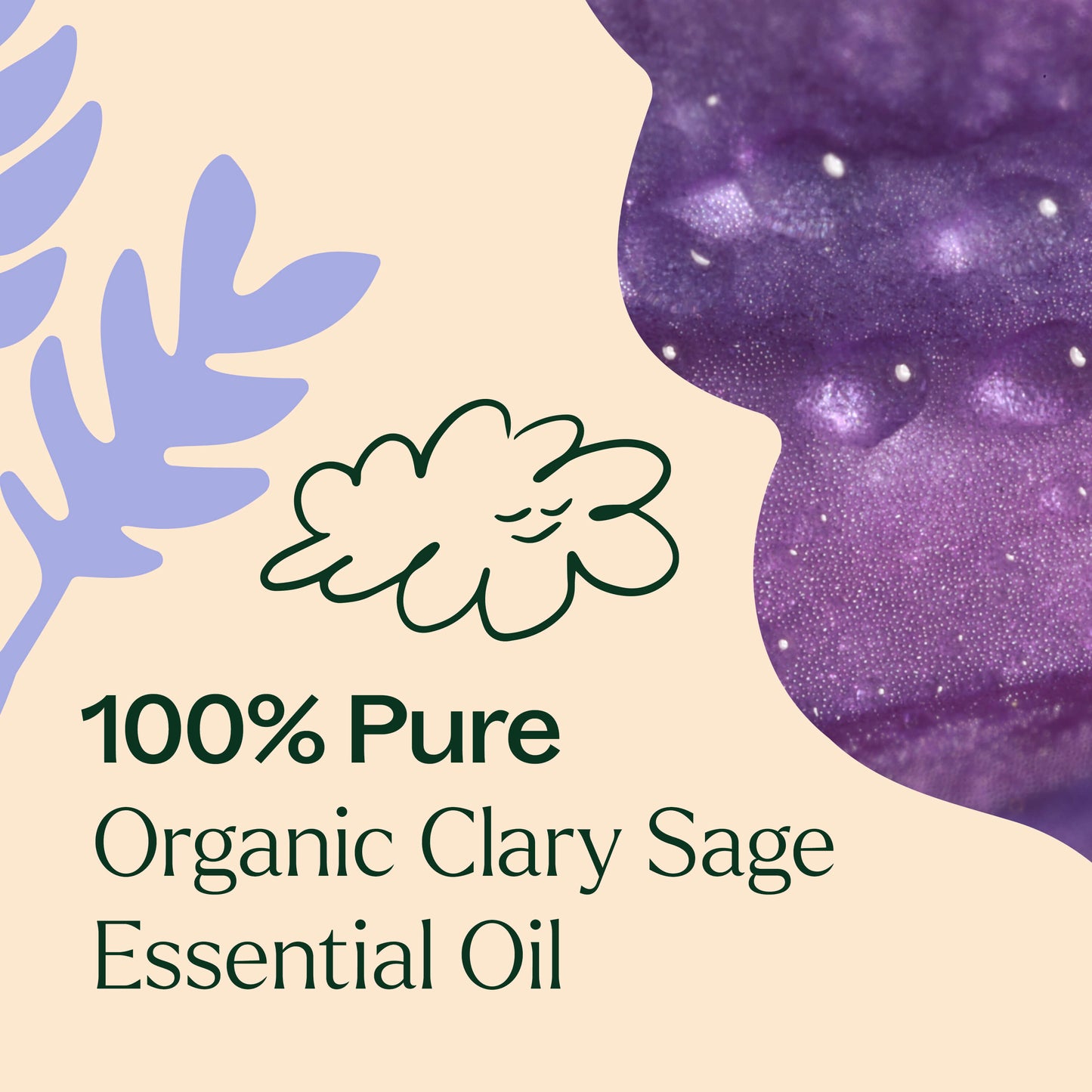 100% pure organic clary sage essential oil