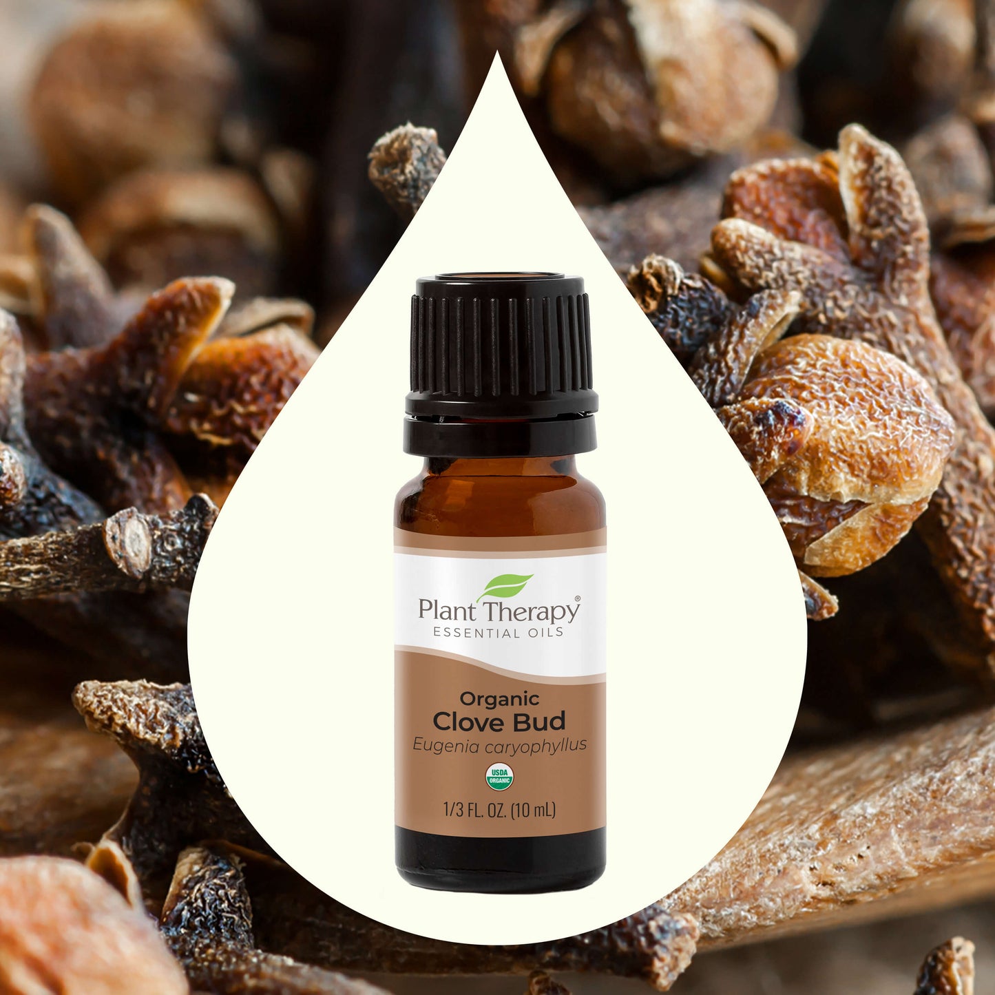 Key Ingredient Image Organic Clove Bud Essential Oil