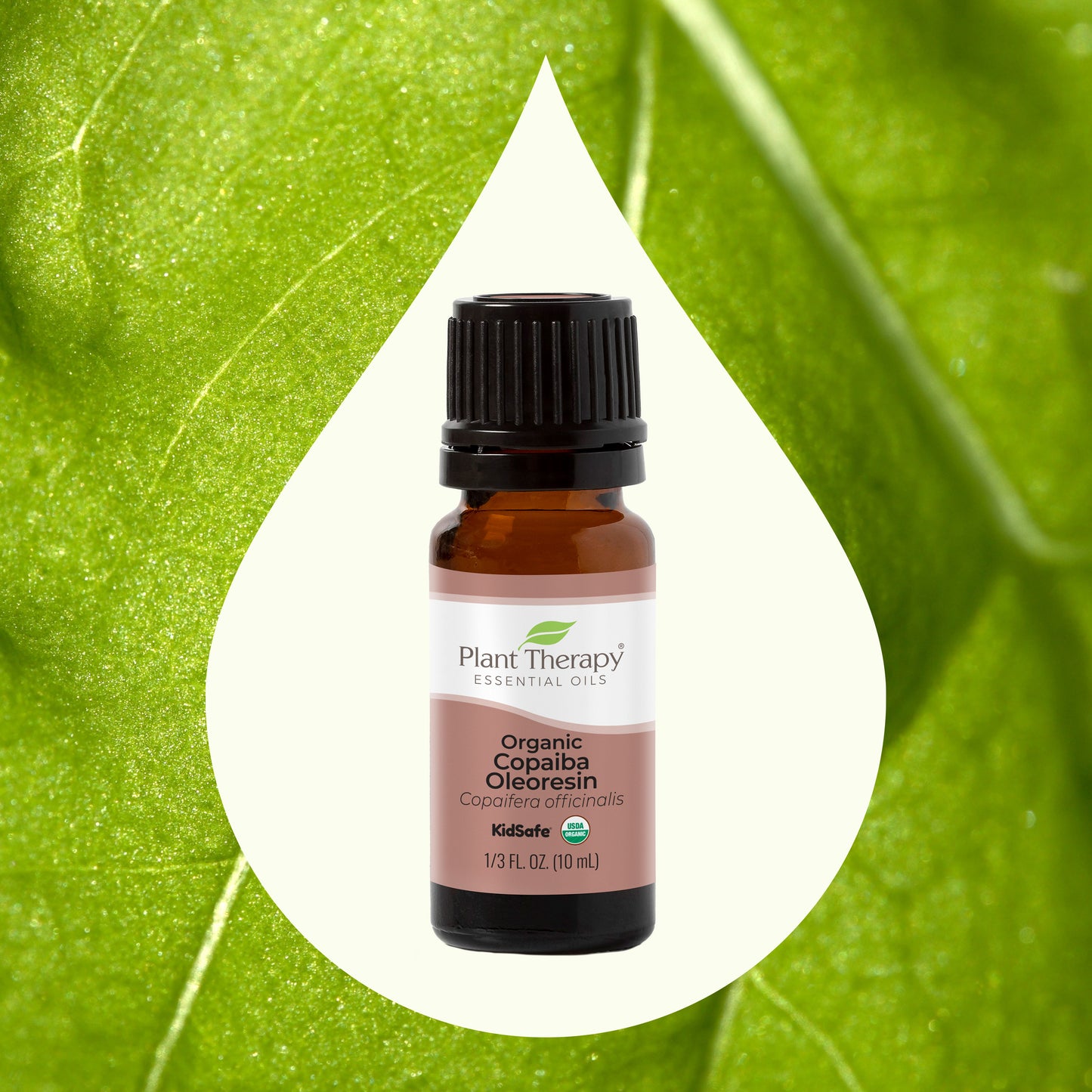 Key Ingredient Image Organic Copaiba Oleoresin Essential Oil