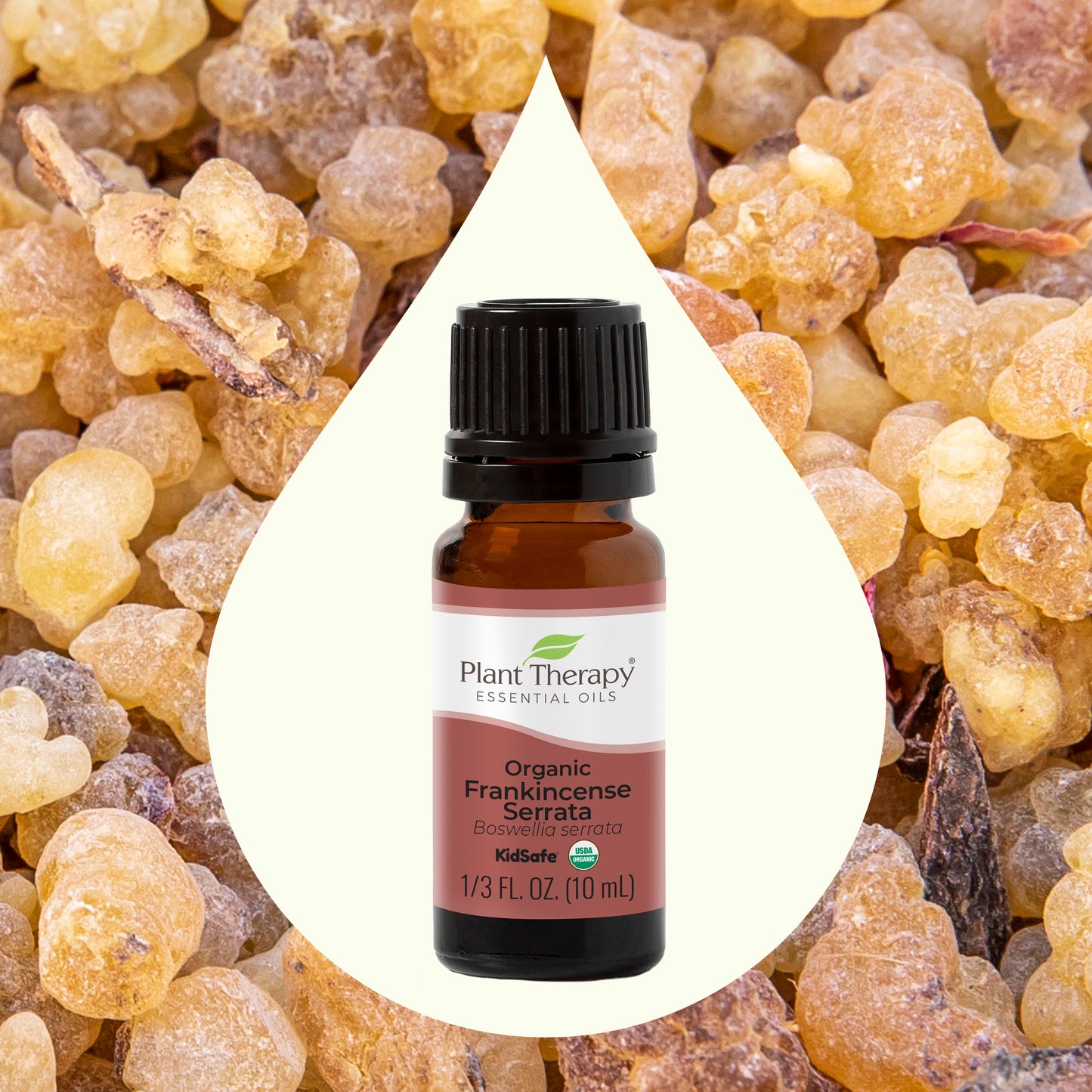 Organic Frankincense Serrata Essential Oil front label