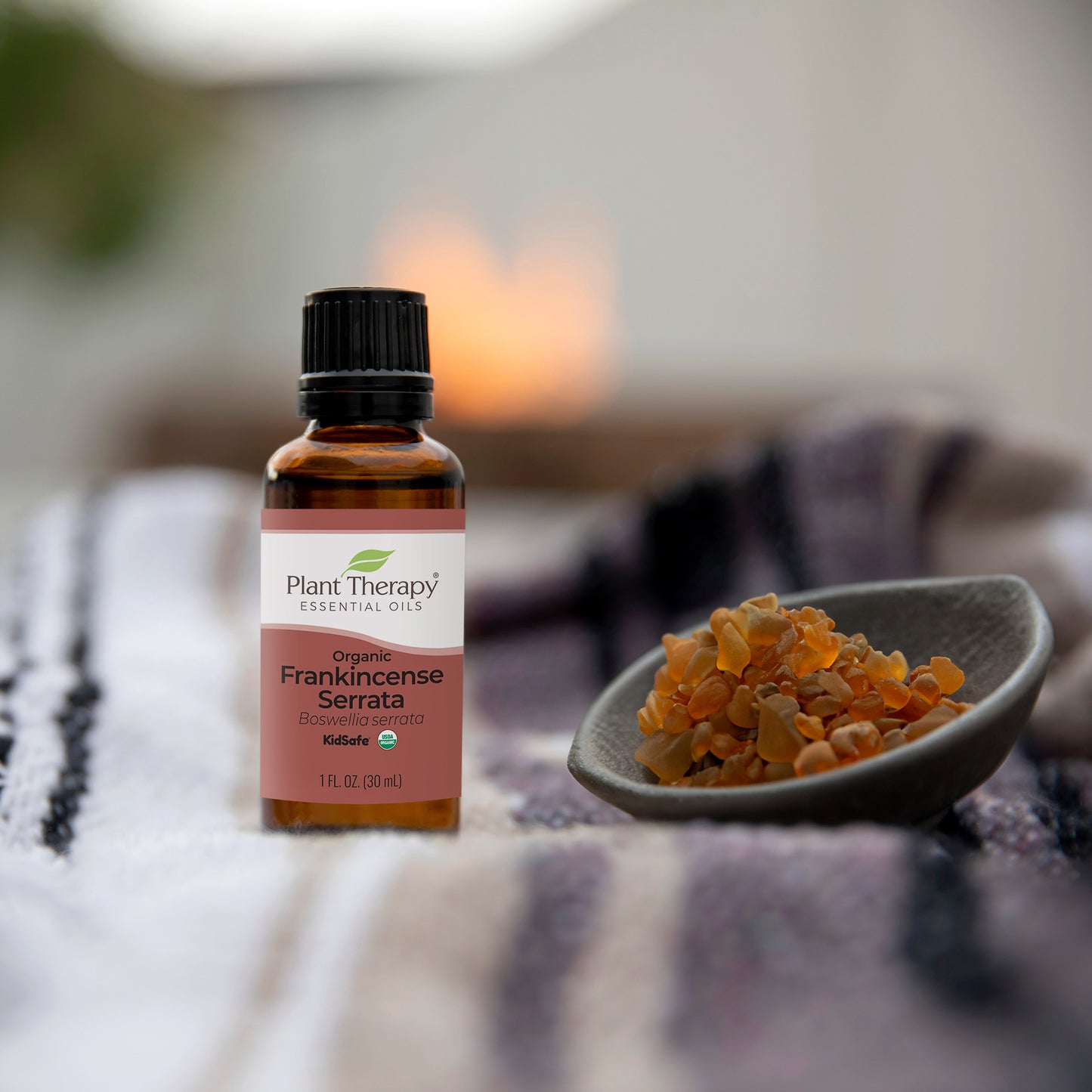 Organic Frankincense Serrata Essential Oil lifestyle image