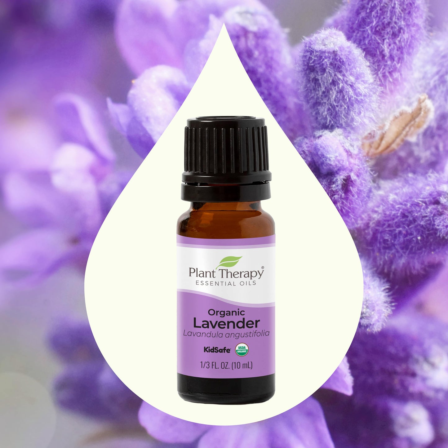 Organic Lavender Essential Oil front label