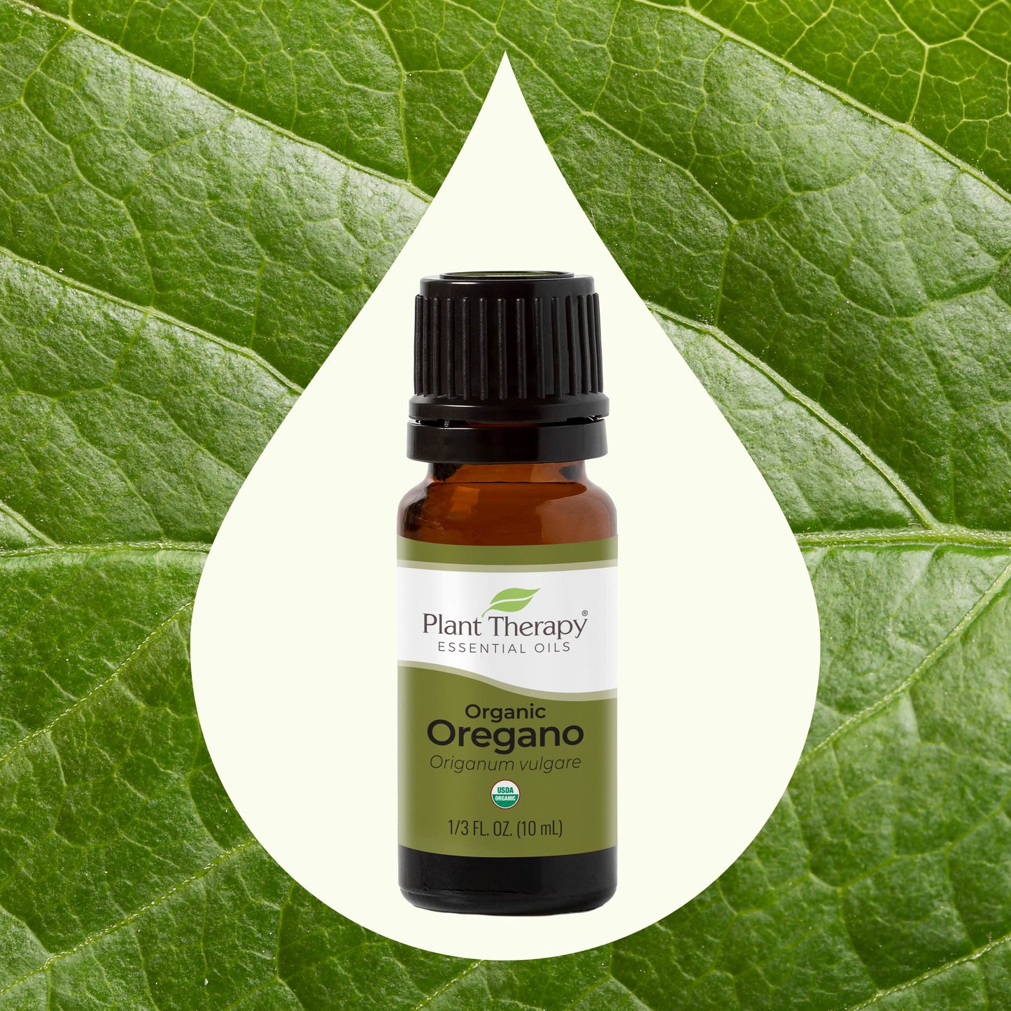 Organic Oregano Essential Oil front label