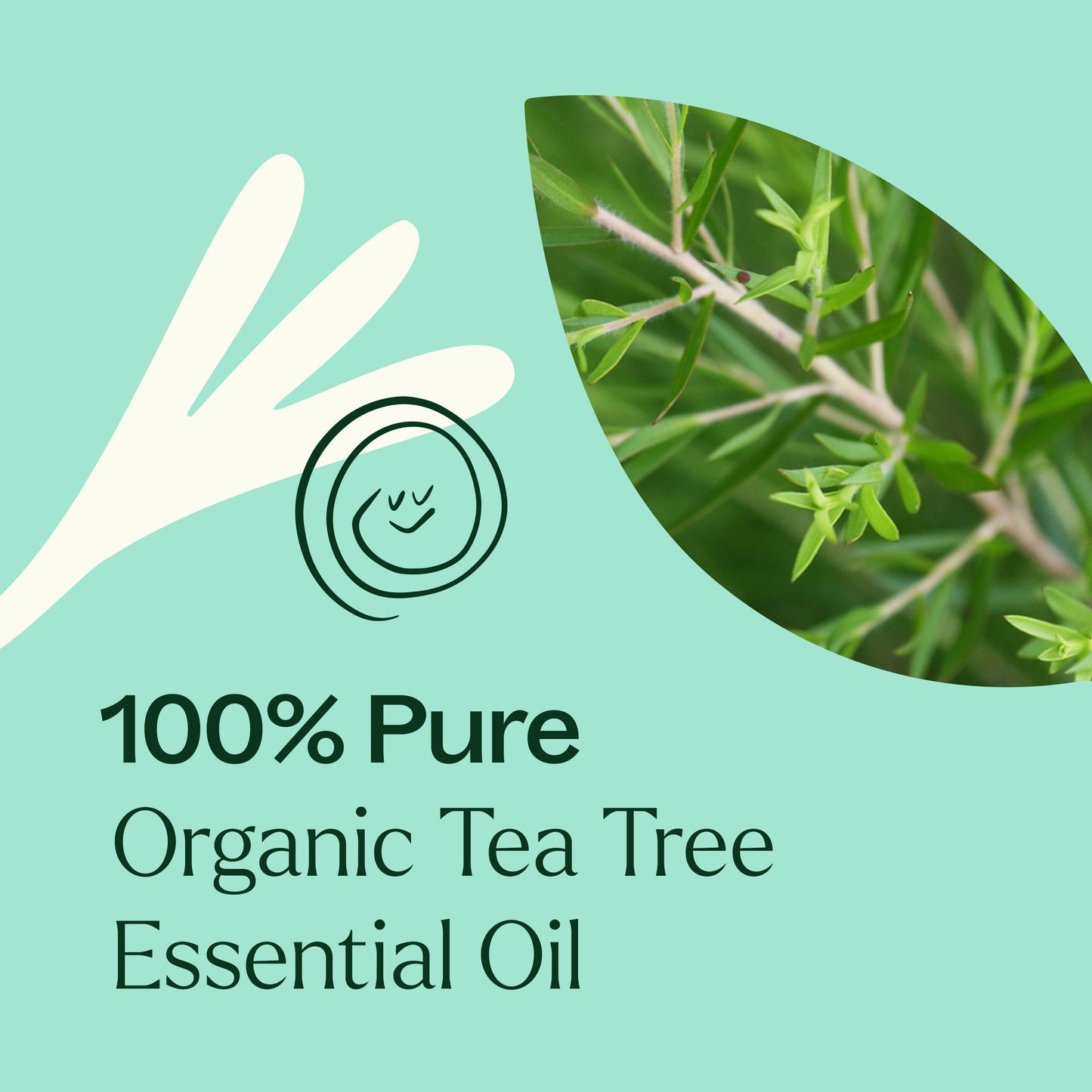 100% pure organic tea tree essential oil