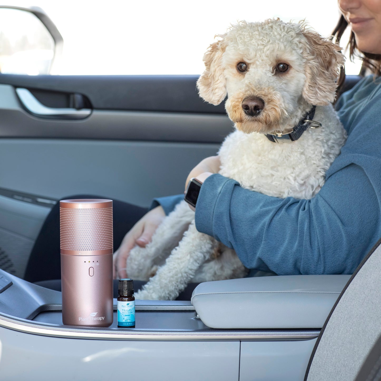 Wood Grain Portable Diffuser with Travel Pack