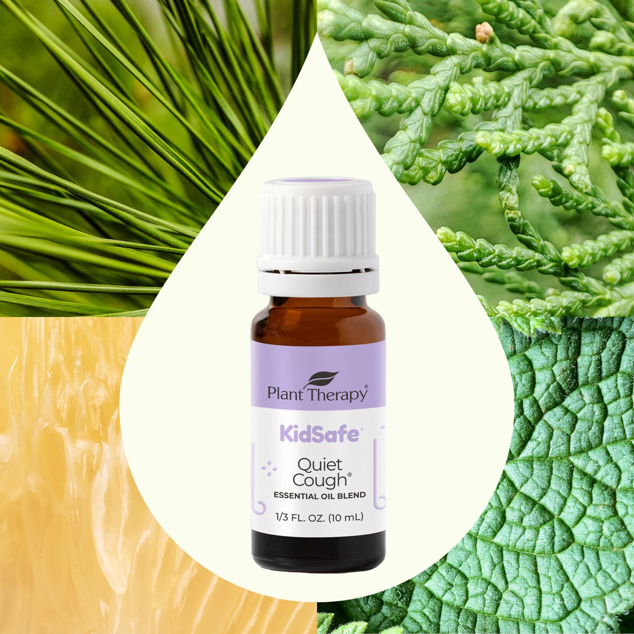 Quiet Cough™ KidSafe Essential Oil Blend main ingredient images