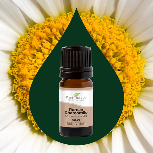 Roman Chamomile Essential Oil key ingredient image