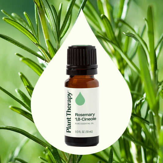 Organic Rosemary 1,8-Cineole Essential Oil