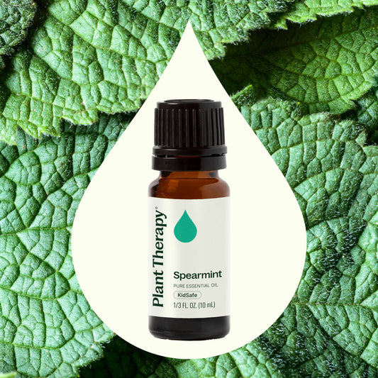 Spearmint Essential Oil