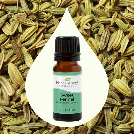 Sweet Fennel Essential Oil key ingredient image