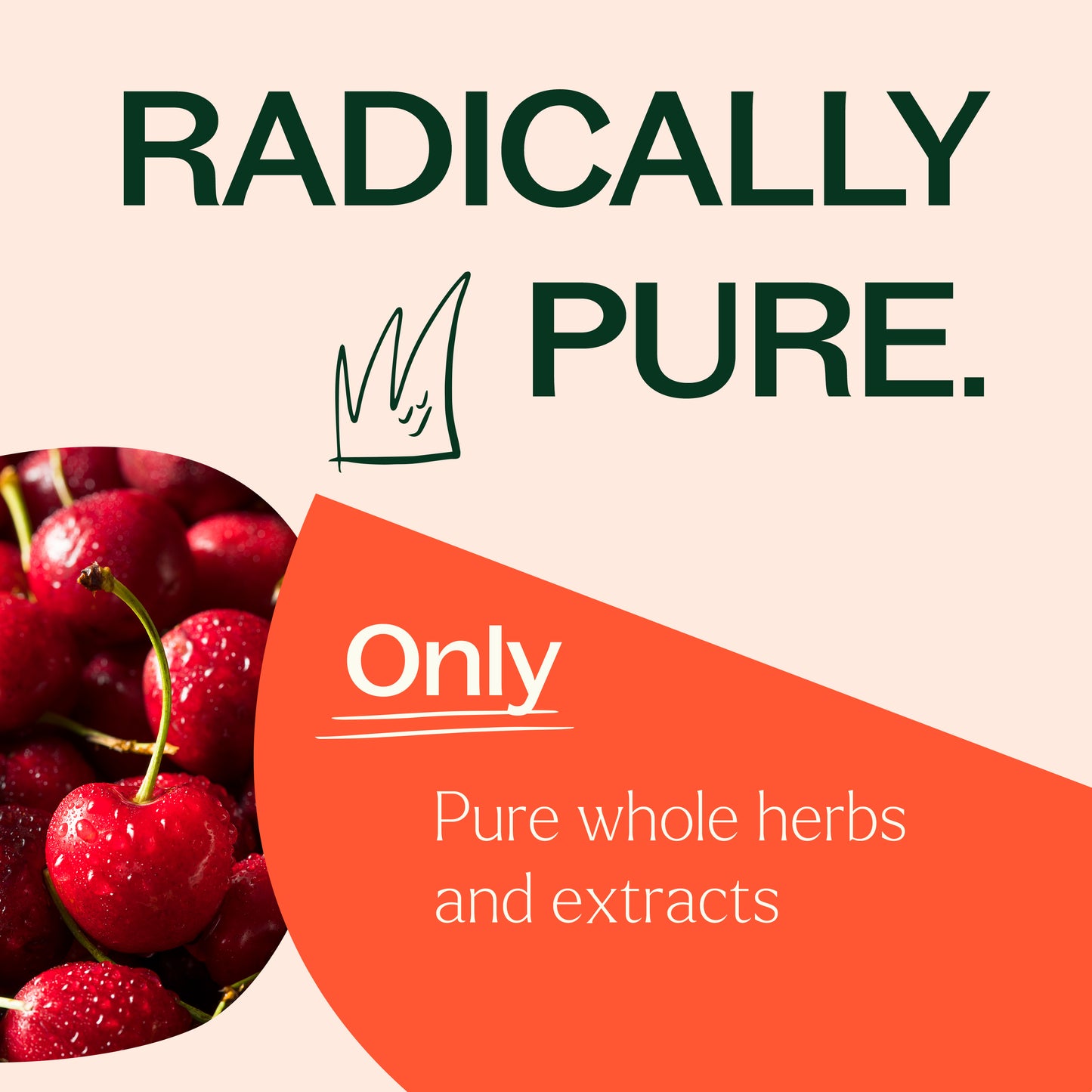 radically pure. only pure whole herbs and extracts